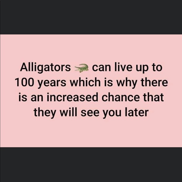 NOT FOR SALE - Picture 13 of 16